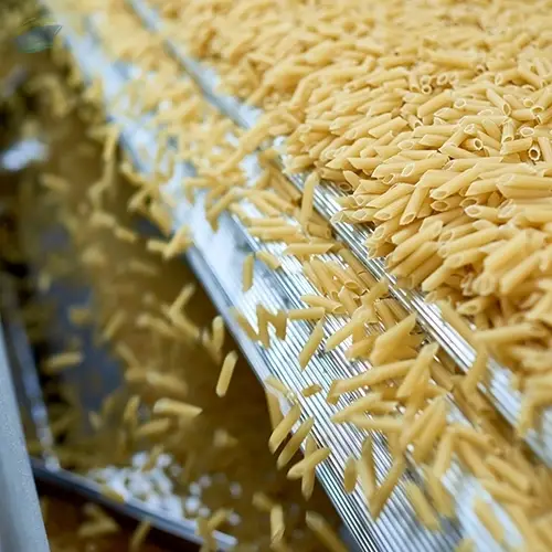 Short Cut Pasta Line