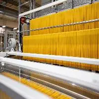 Spaghetti Production Line | LONG CUT PASTA LINE