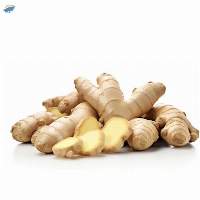Natural Fresh Ginger From Vietnam