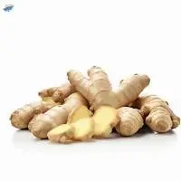 Natural Fresh Ginger From Vietnam