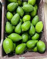 Fresh Lemon