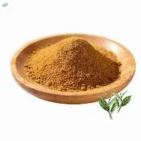 Green Tea Extract (EGCG 98%)