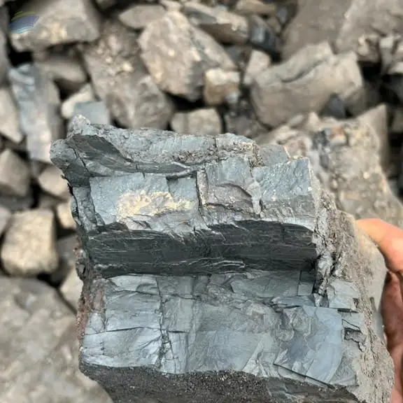 Non Coking Coal