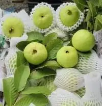 Guava