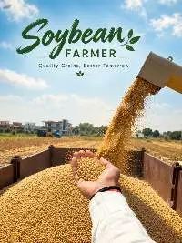 Soybean Seeds
