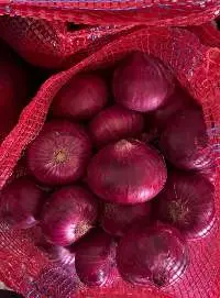 Fresh Red Onion