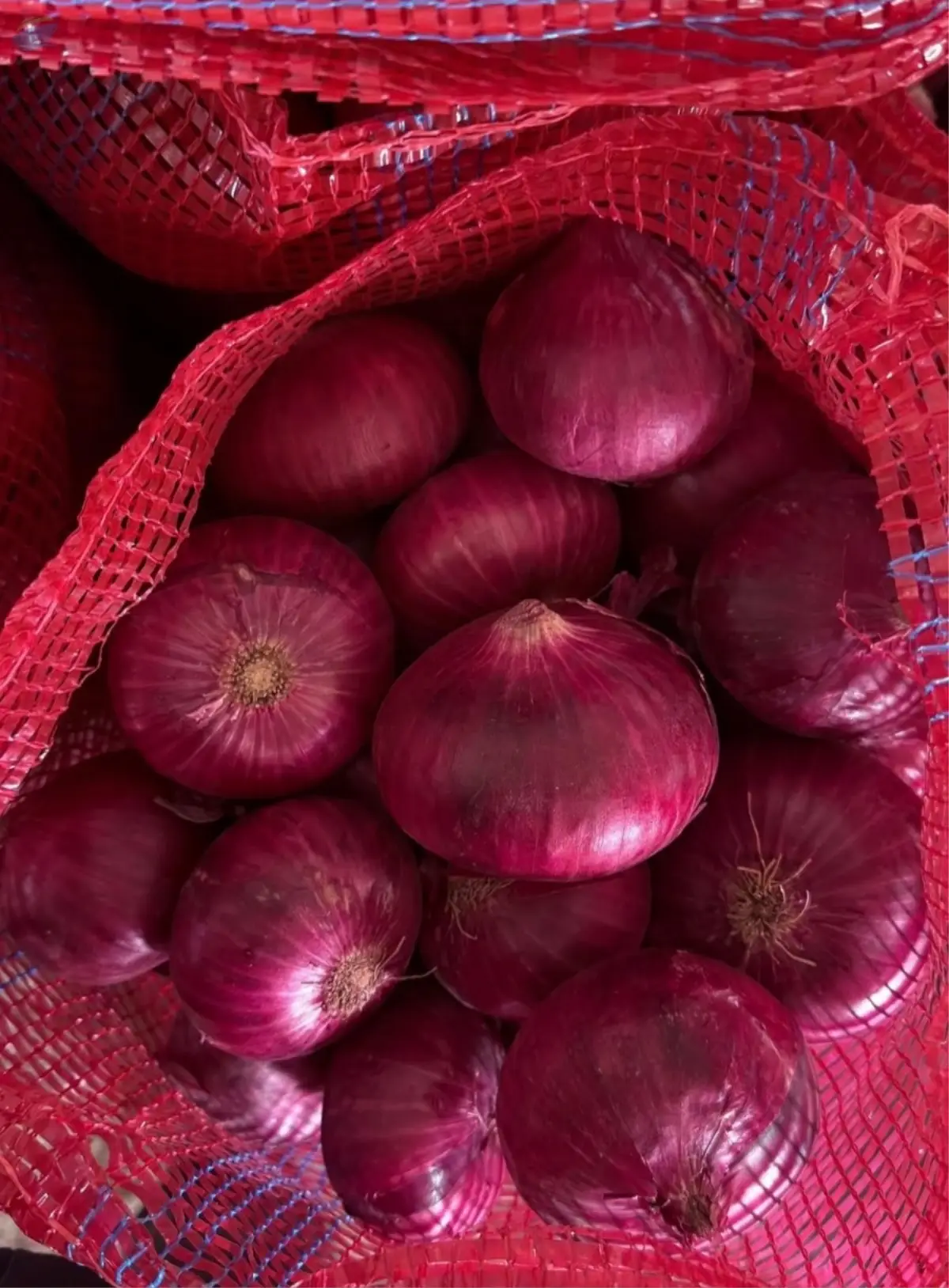 Fresh Red Onion