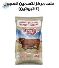 Cattle Fattening Feed Concentrates
