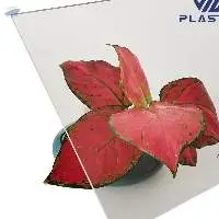 Extruded Acrylic Sheet