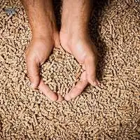 Wood Pellets EN Plus A1 Export Grade 