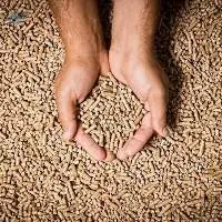 Enplus A1 Wood Pellets