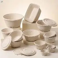 Bagasse Food Containers, Plates and Bowls