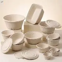 Bagasse Food Containers, Plates and Bowls