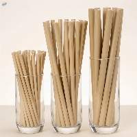 Paper Straws and Bamboo Straws
