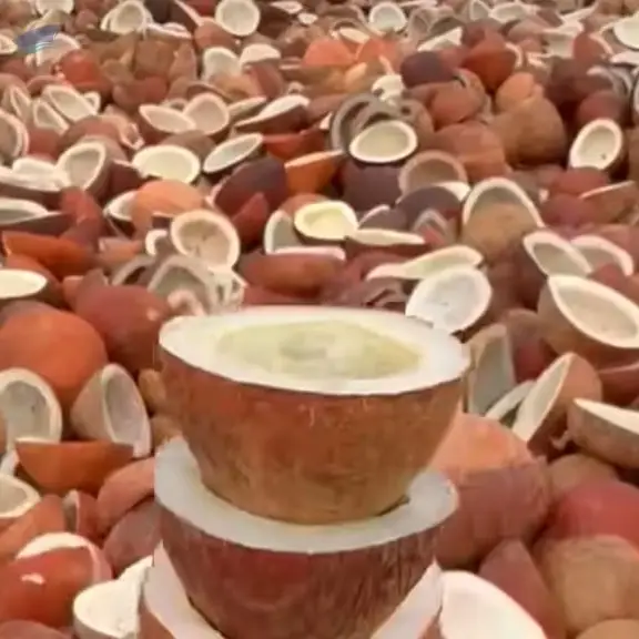 Premium White Copra