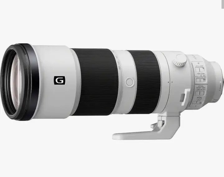 Sony FE 200-600mm f/5.6-6.3 G OSS Lens