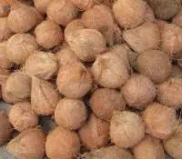 Semi Husk Coconut