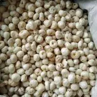 Organic Fox Nut