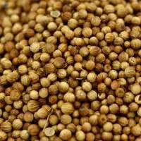 Organic Dry Coriander