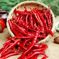 Organic Red Chili