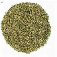 Organic Millet Seed