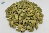 Green Cardamom