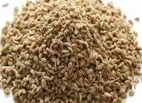 Organic Ajwain