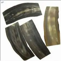 Natural Horn Plates Blank