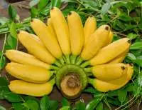 Fresh Banana