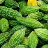 Fresh Bitter Gourd