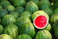 Fresh Watermelon