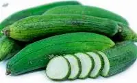 Fresh Sponge Gourd