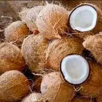 Semi Husk Coconut