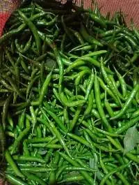 Fresh Green Chilli