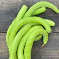 Fresh Kakari Seed