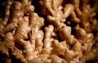 Fresh Ginger