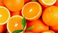 Fresh Orange Fruit