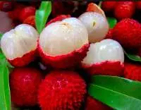 Fresh Litchi