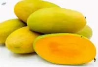 Fresh Mango