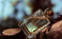 Fragrances