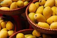 Mangoes