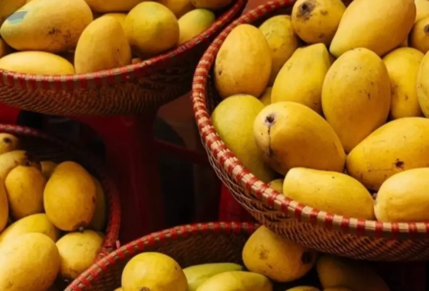 Mangoes