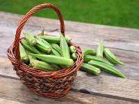 Lady Finger
