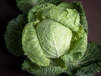 Cabbages