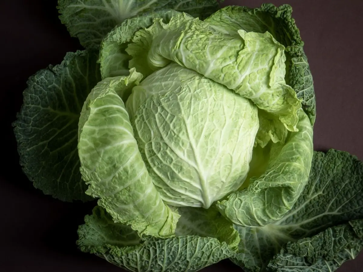 Cabbages