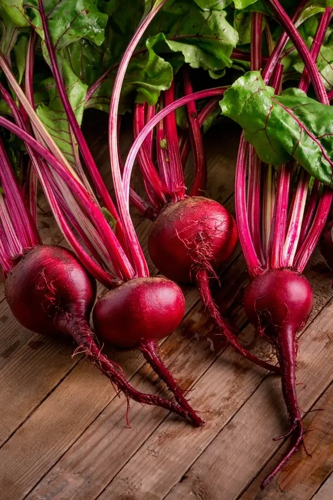 Beetroot