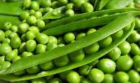 Green Peas