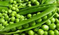 Green Peas
