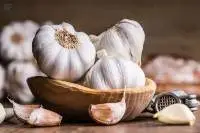 Garlic