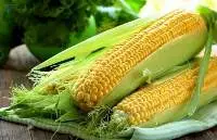 Sweet Corn